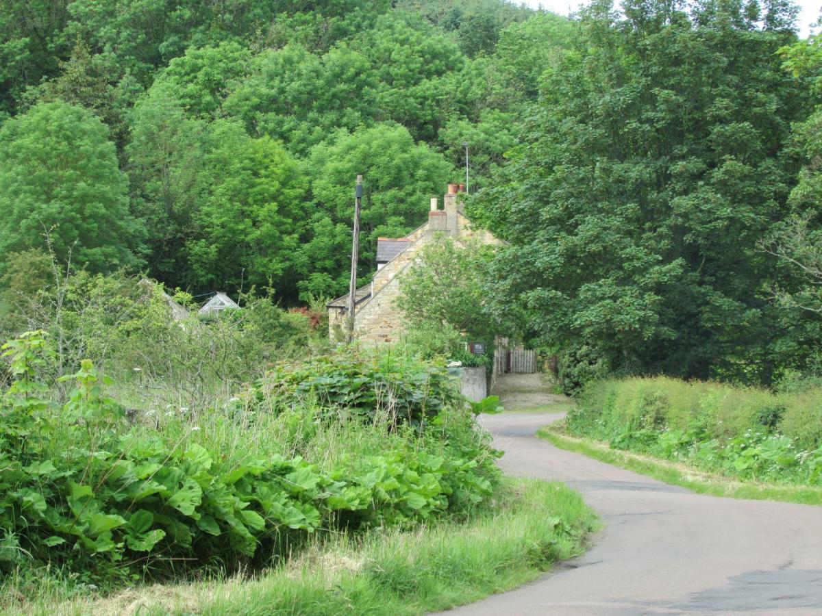 Mill House Cottage Guyzance Eksteriør bilde